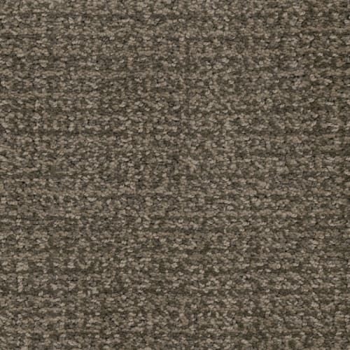 Pedigree Andy Warhowl by Masland Carpets Harahan, LA RonDel